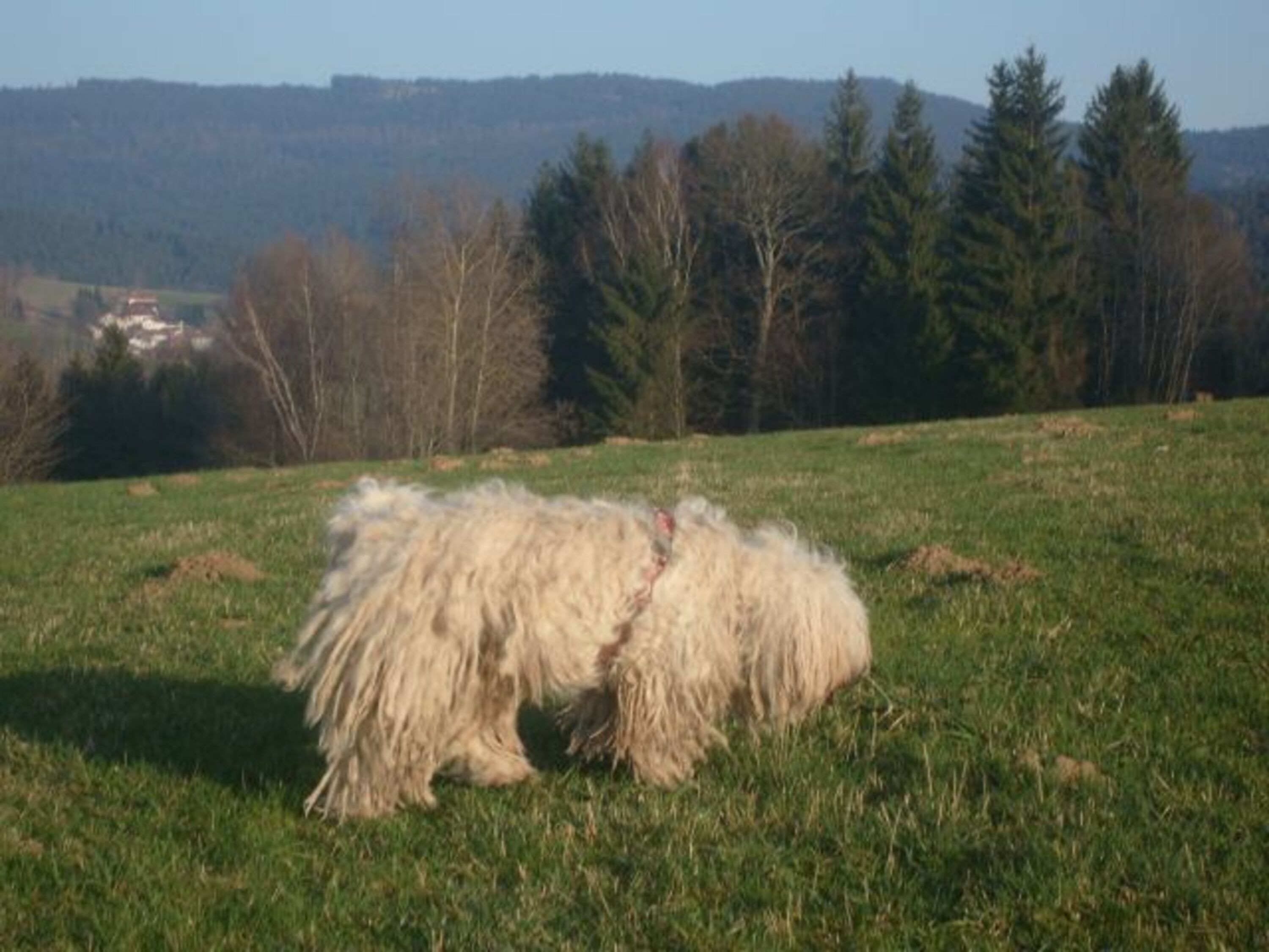 Bild 14