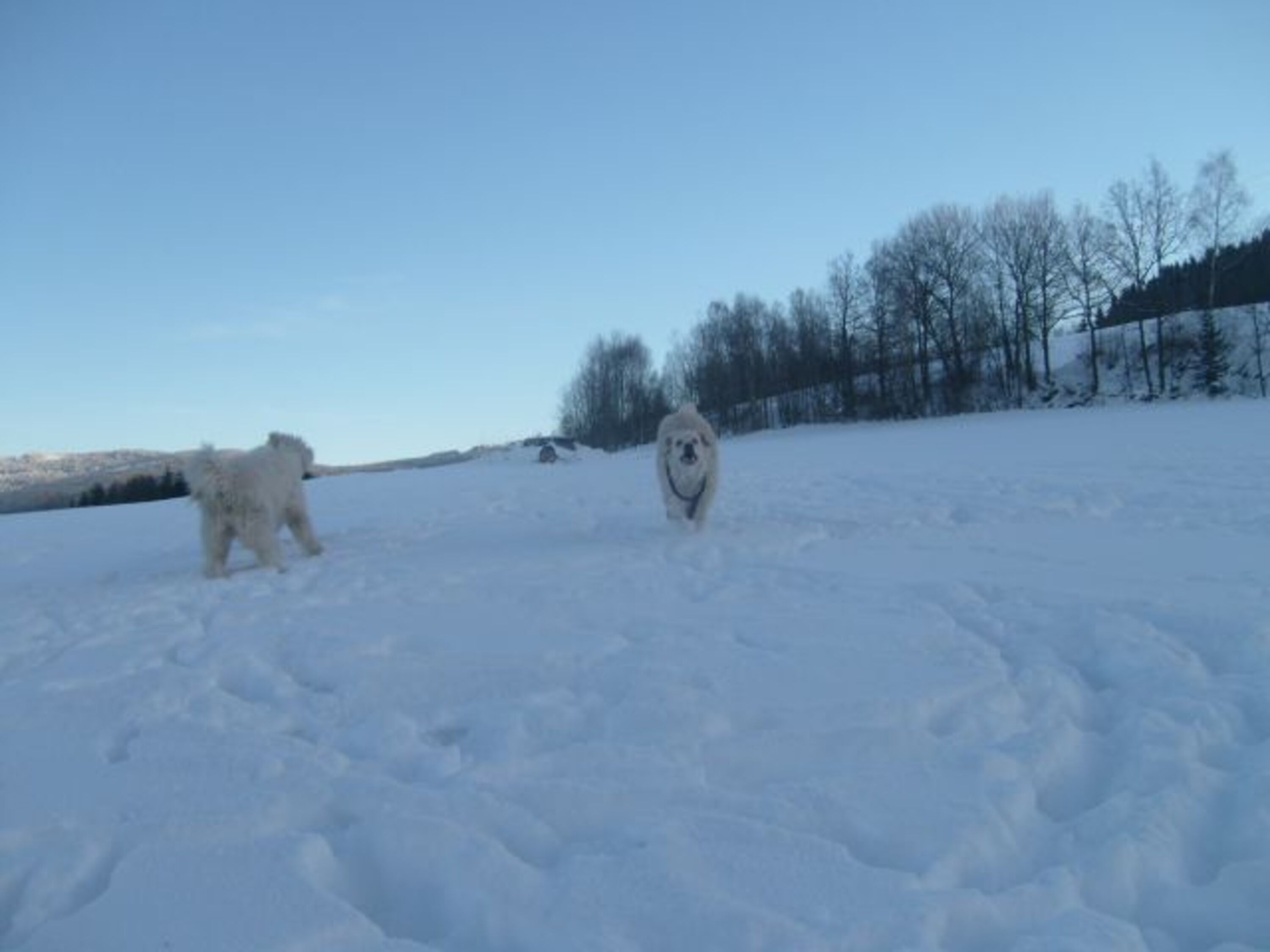Bild 13