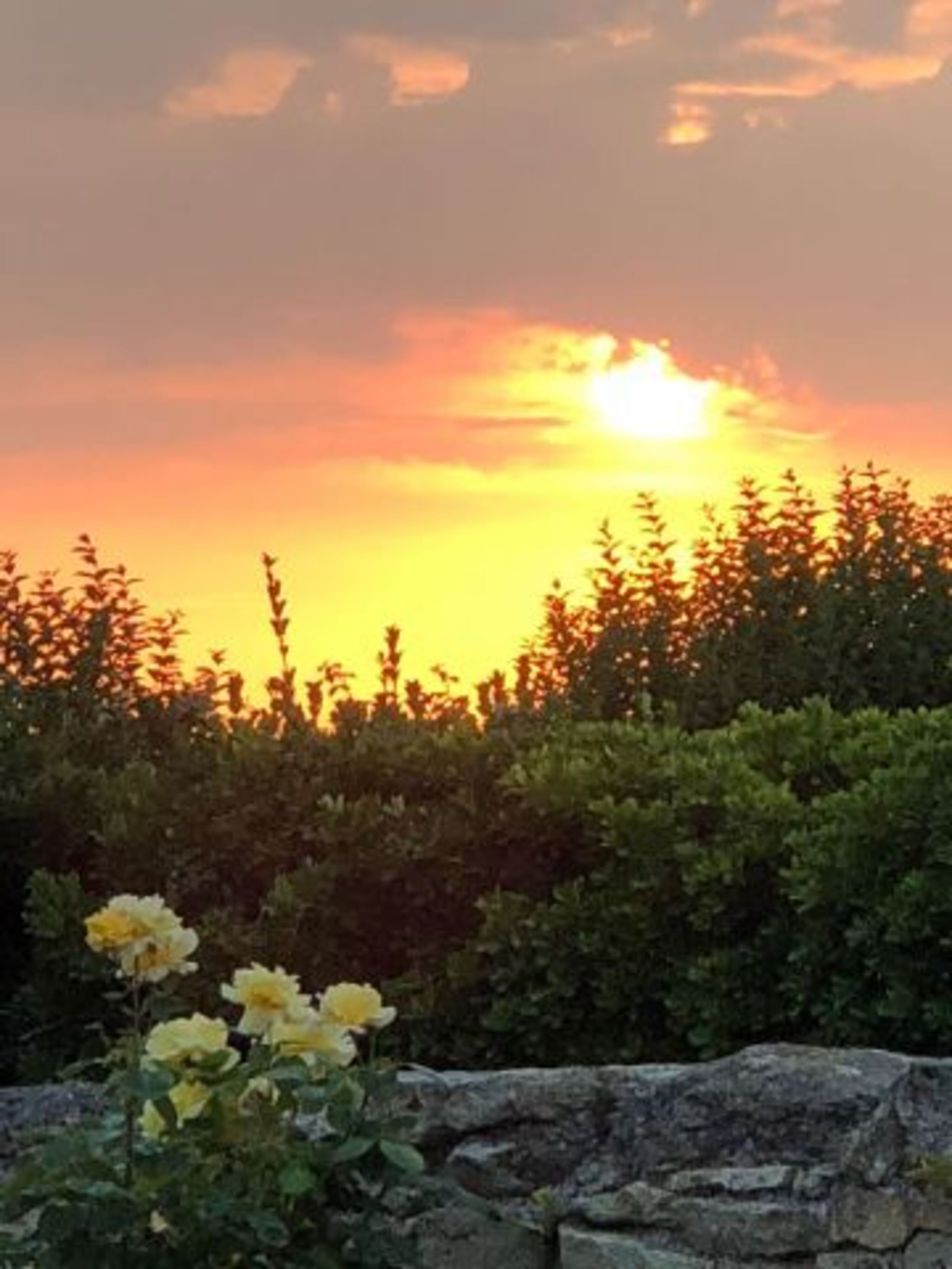 Abendstimmung