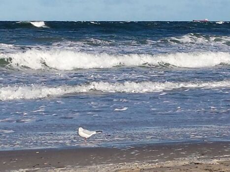 Ihr Ausblick an dem weißen Strand gleich "vor der Haustür"