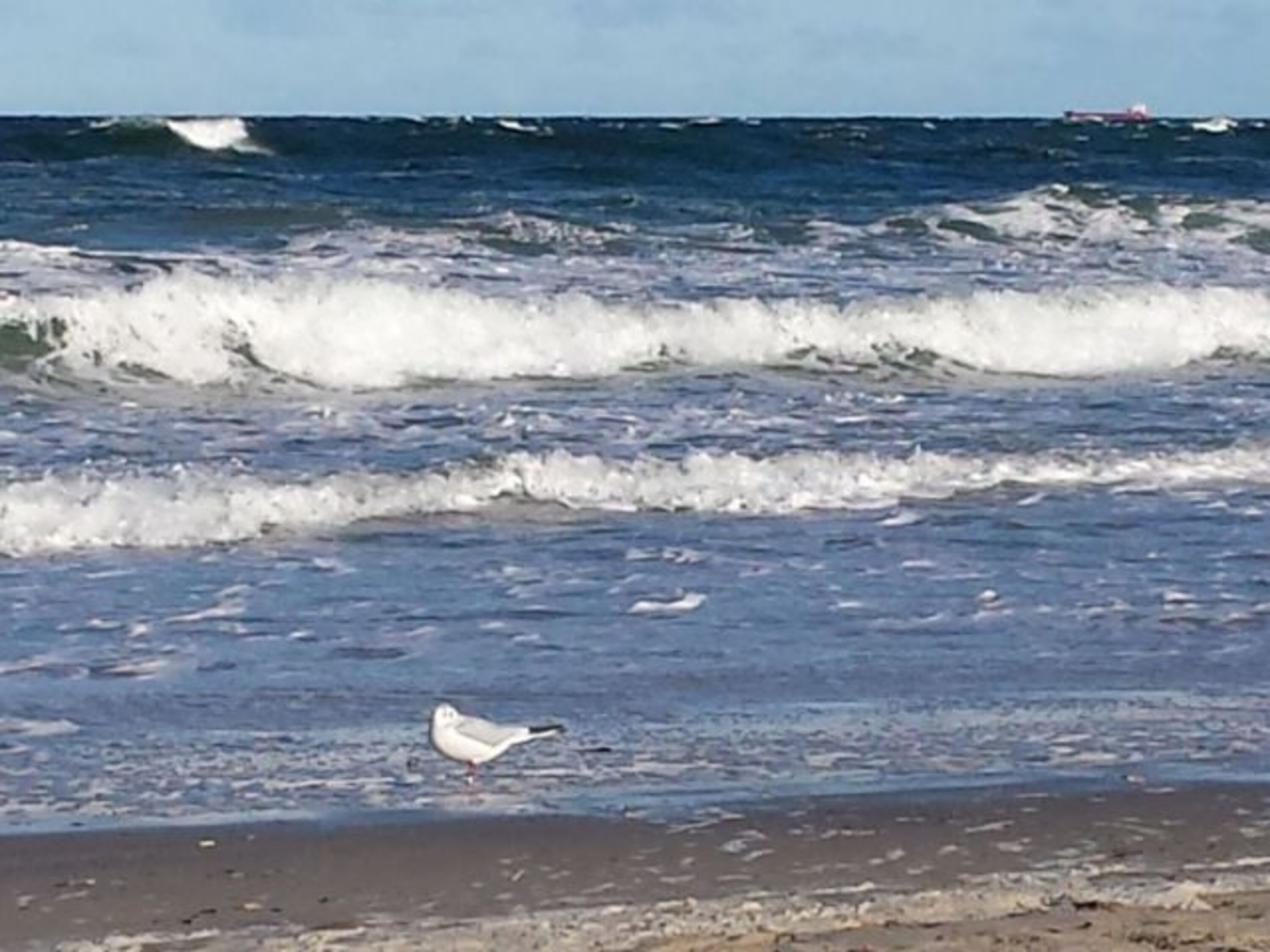 Ihr Ausblick an dem weißen Strand gleich "vor der Haustür"