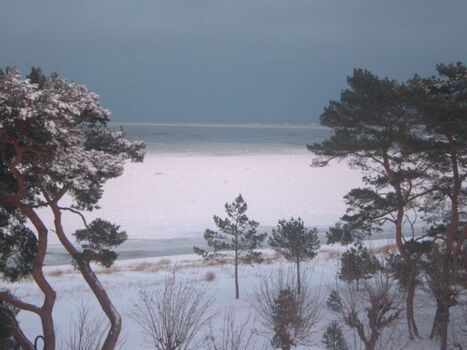 verträumter November