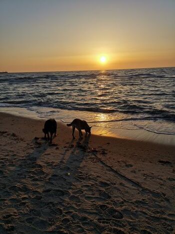 Am Weidefelder Strand