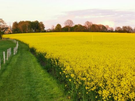 Unser Privatweg vom Hof