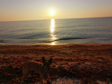 morgens am Weidefelder Strand