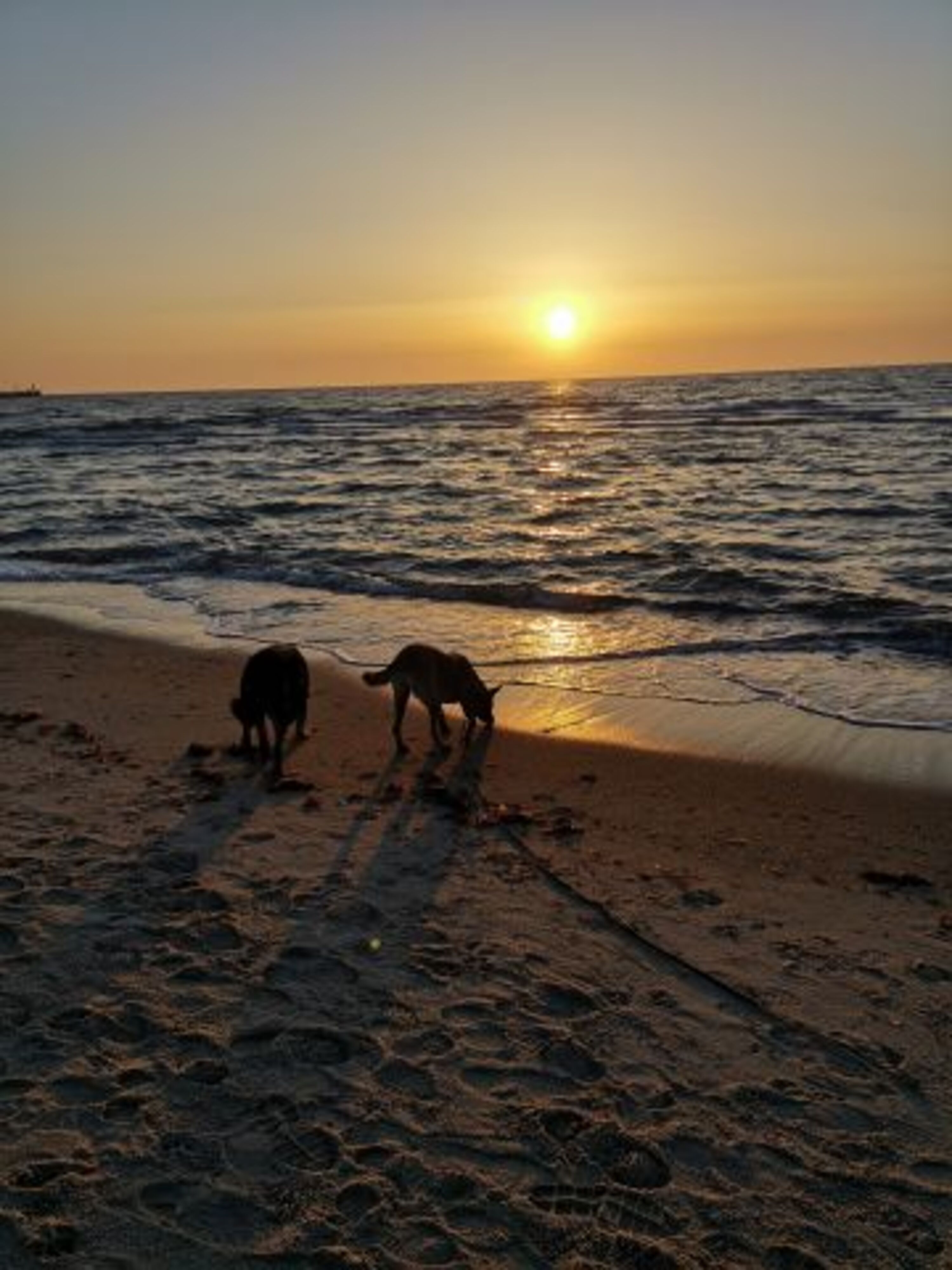 Am Weidefelder Strand