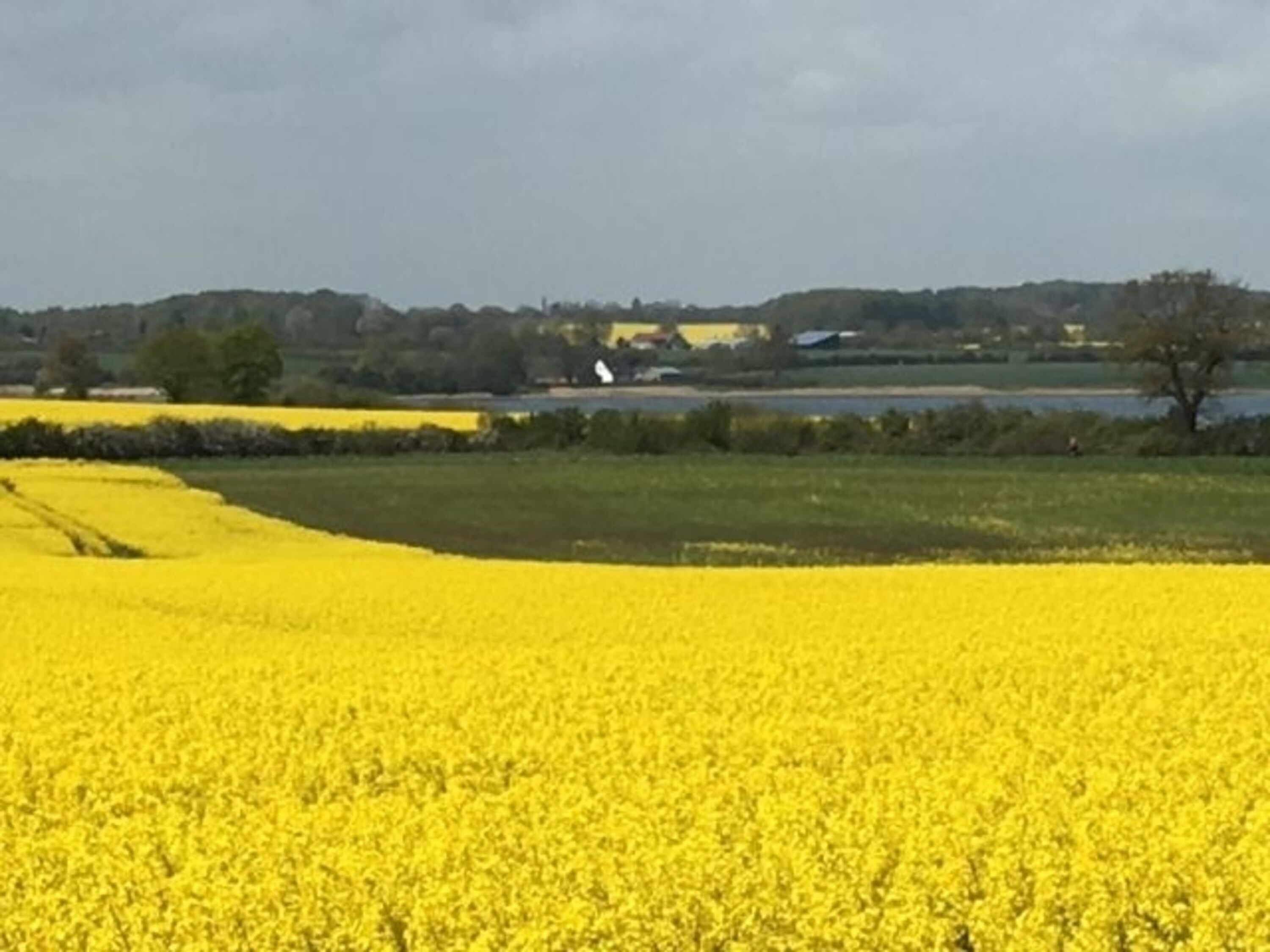 Landschaft pur