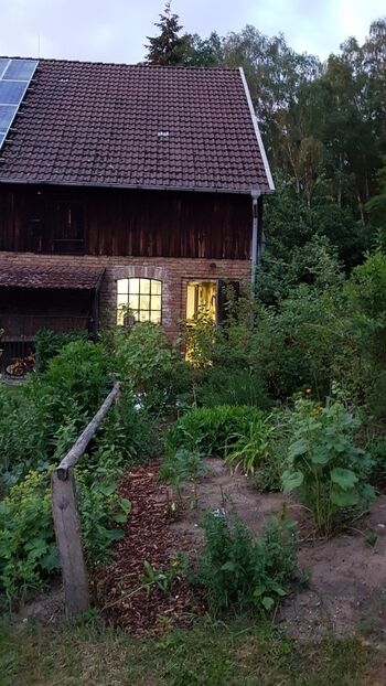 Die Schreinerei des Forstbetriebes