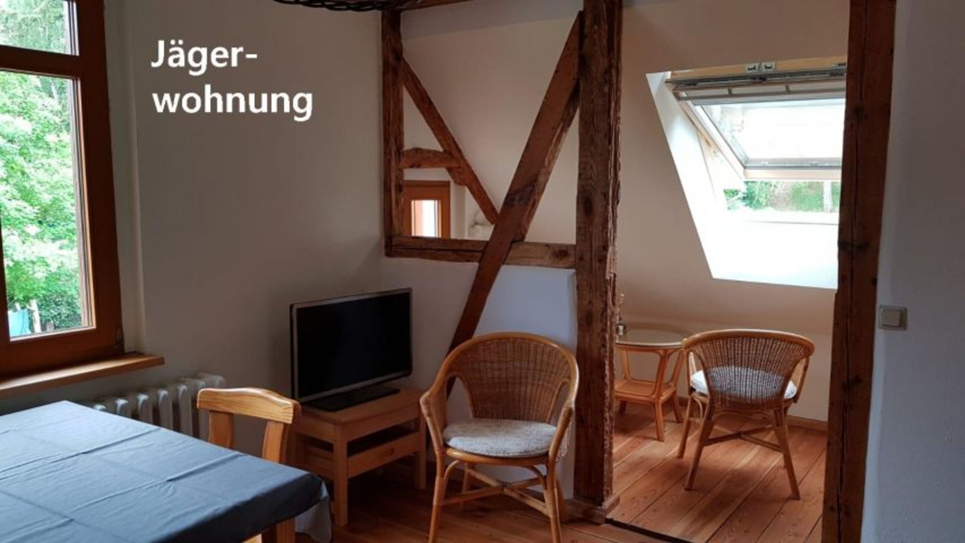 helle lichtdurchflutete Wohnung