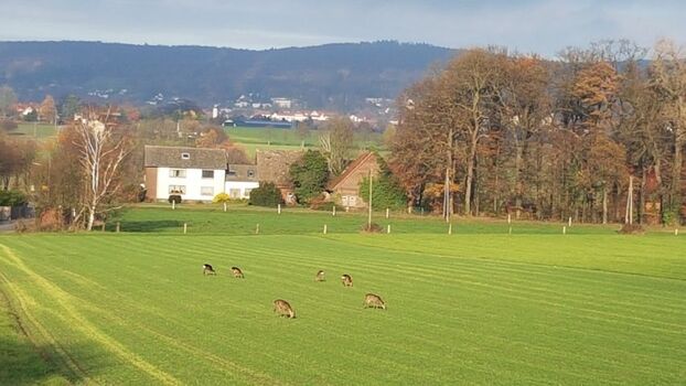idyllischer Blick nach Norden