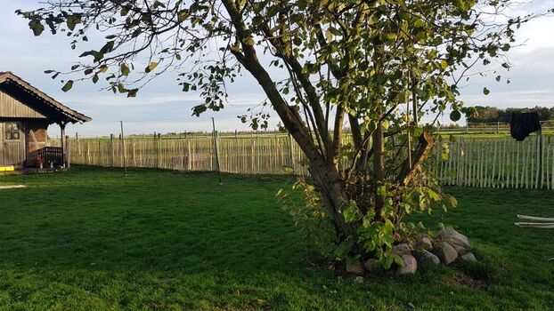 komplett eingezäunter Garten