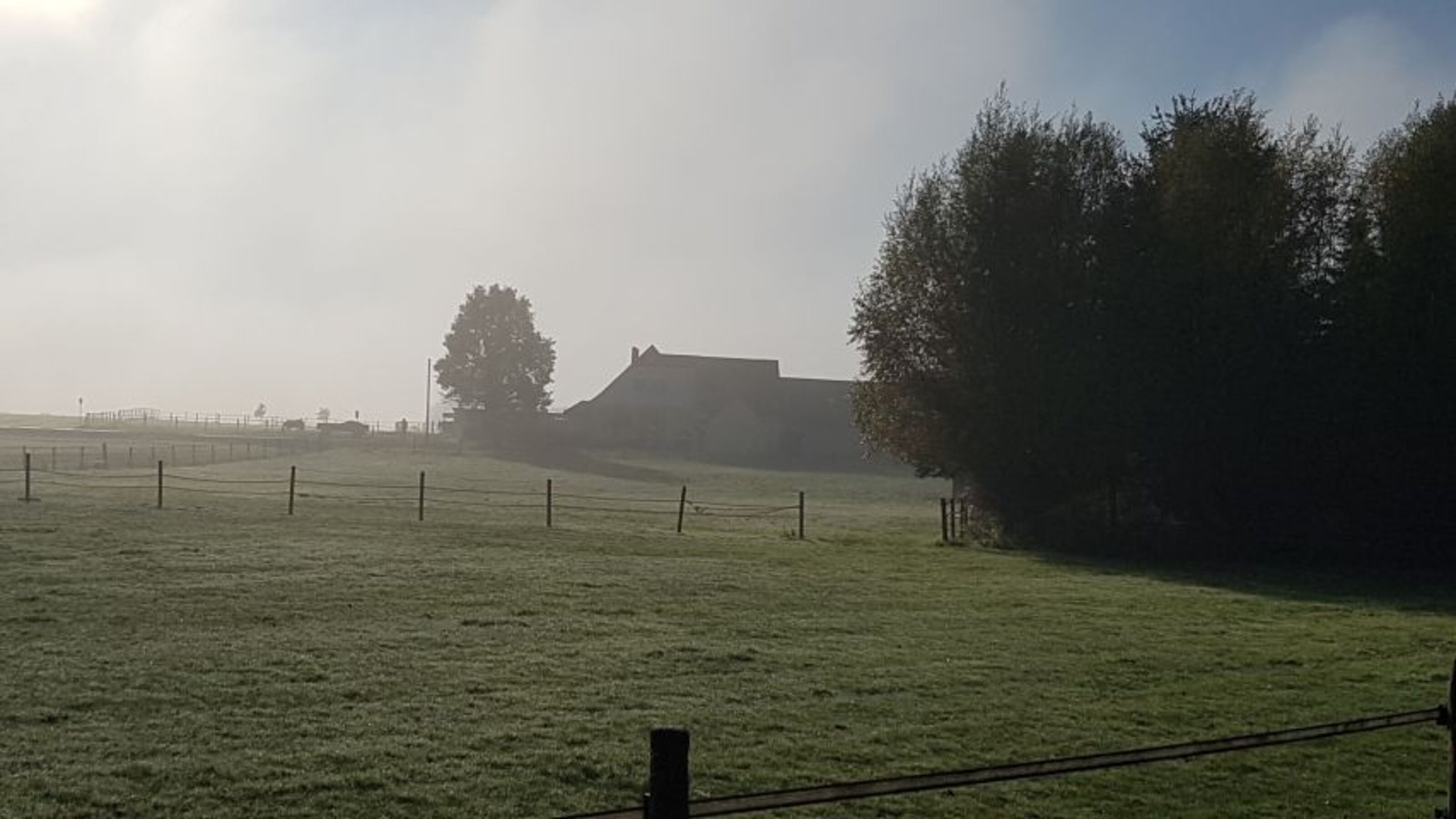 am Morgen