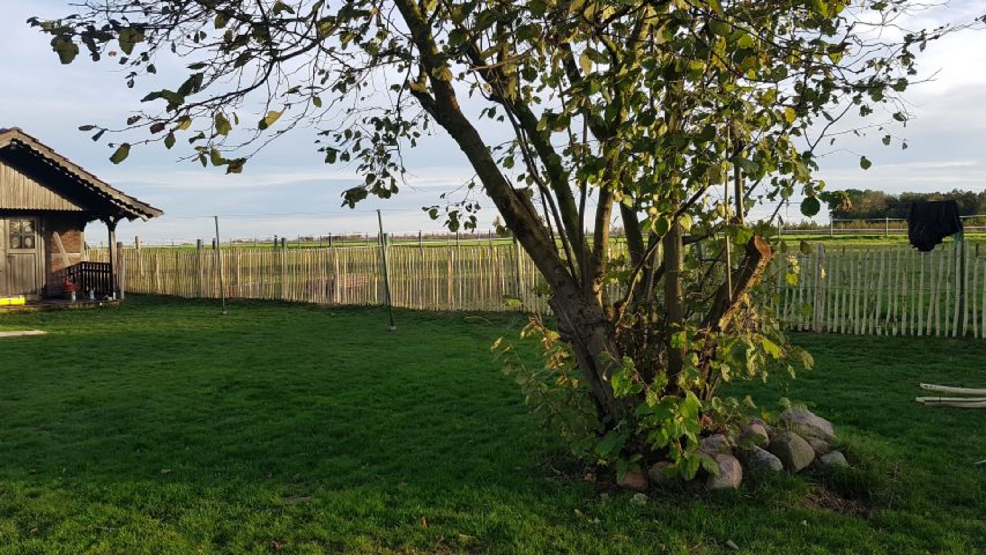 komplett eingezäunter Garten