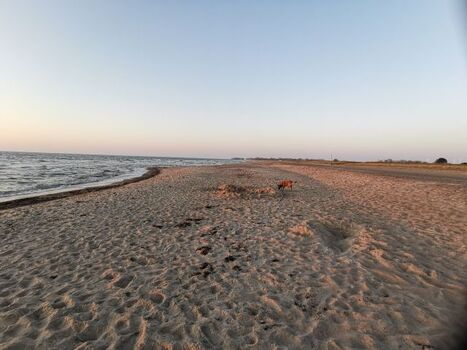 Weidefelder Strand Richtung Schönhagen