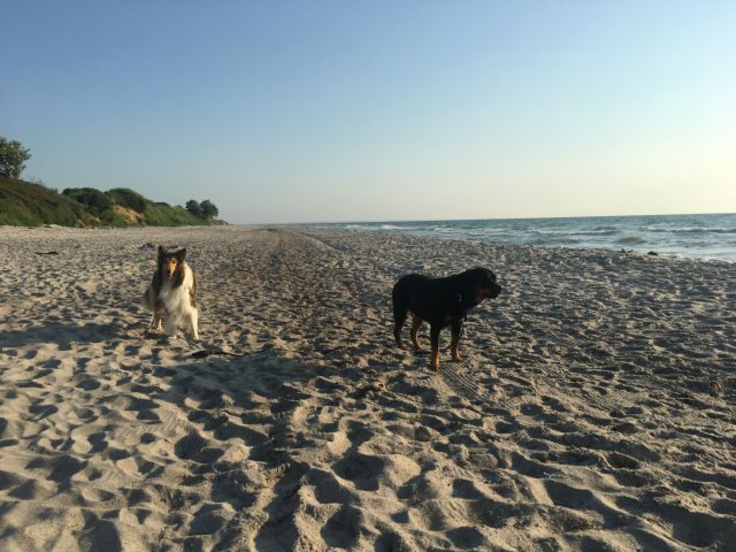 am Strand