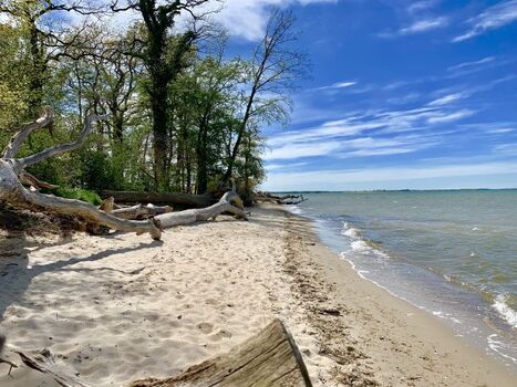 "schlafende Bäume " Ort bei Google