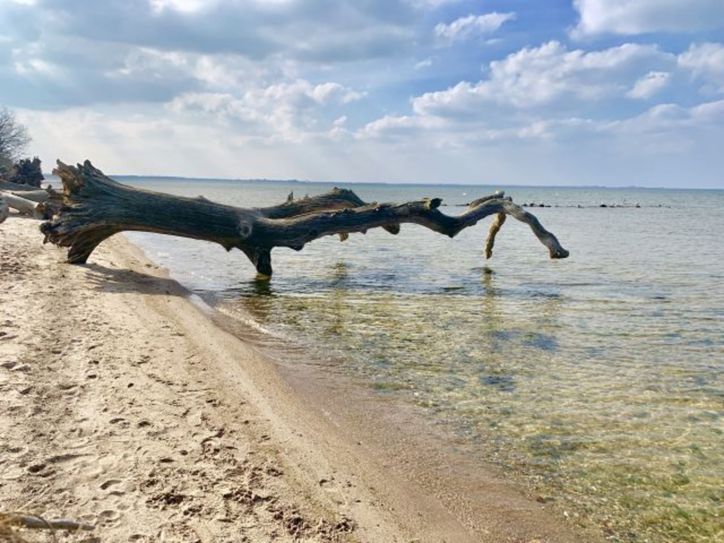 Der Strand