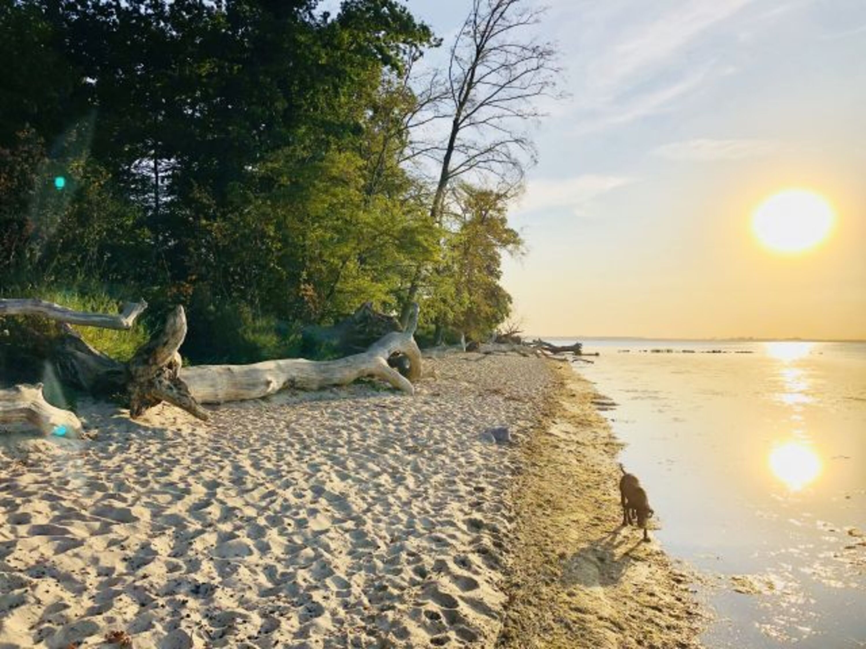 Der Strand