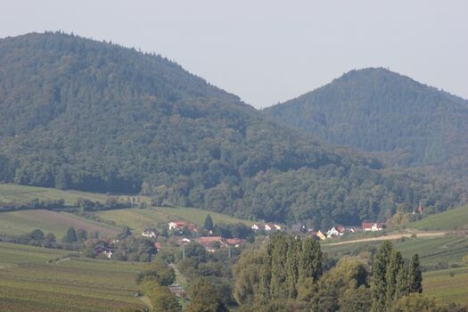 Blick auf Leinsweiler