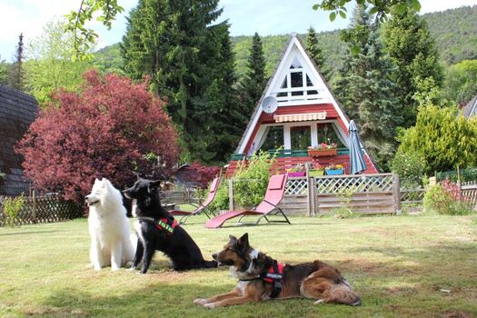 Naja, Frauchen und Herrchen dürfen auch mit