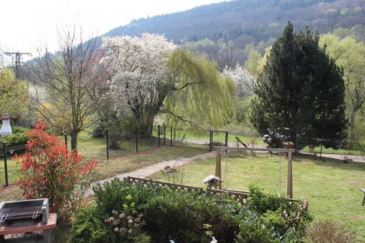 eingezäuntes Grundstück