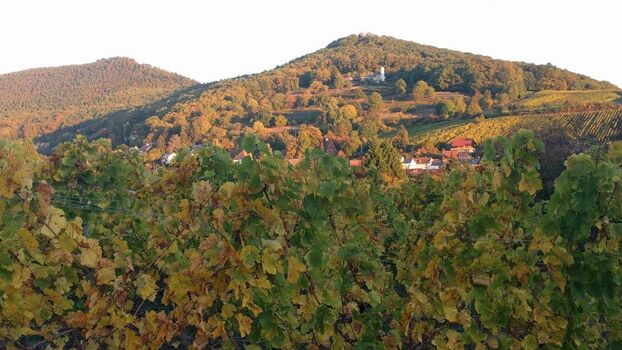 Blick zum Slevogthof