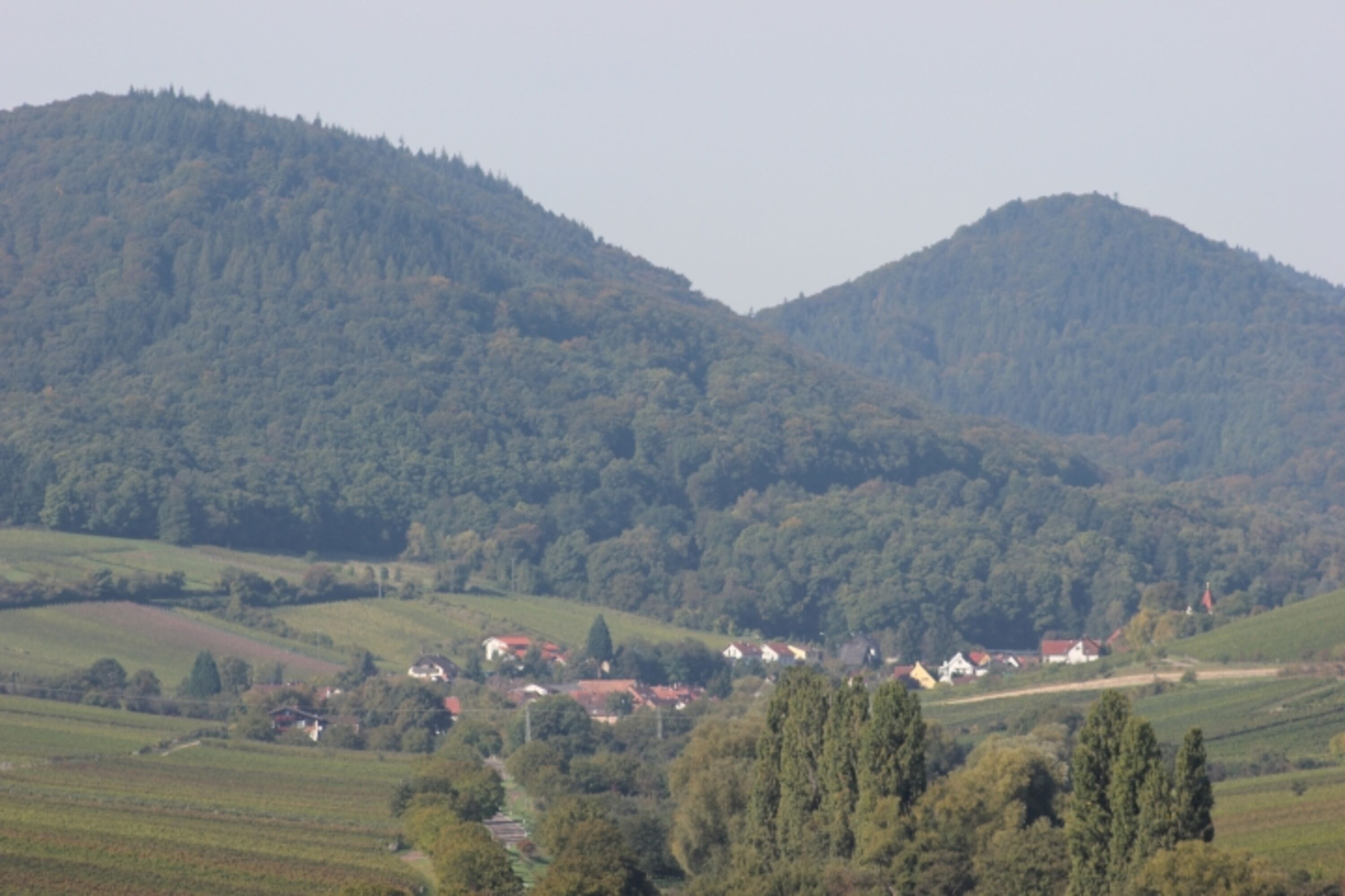 Blick auf Leinsweiler