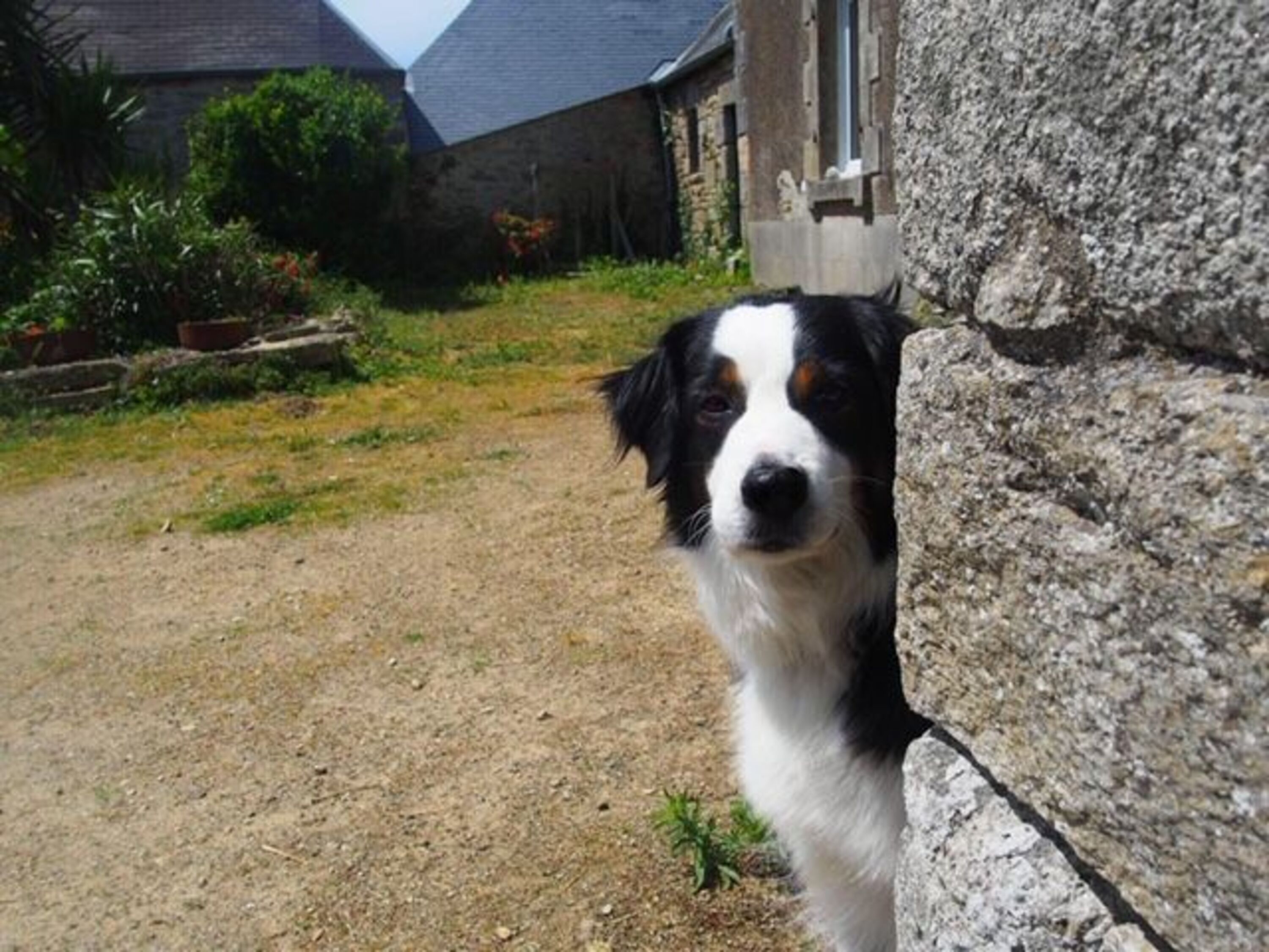 Bild 25