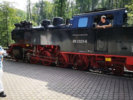 Der Molli fährt zwischen Bad Doberan und Kühlungsborn