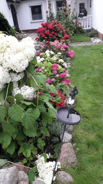 Garten  vor dem Ferienhaus