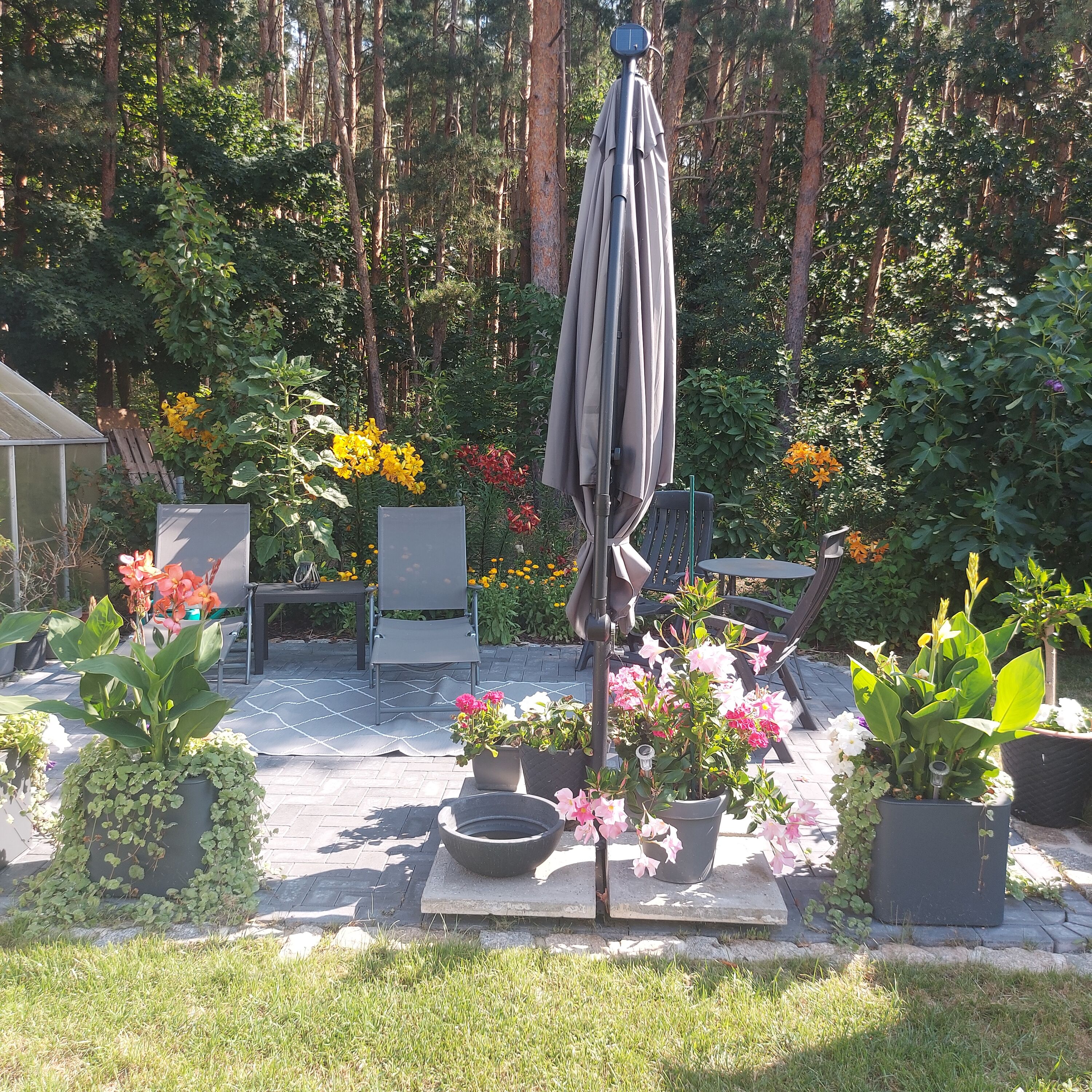 Große Terrasse mit Sonnenliegen