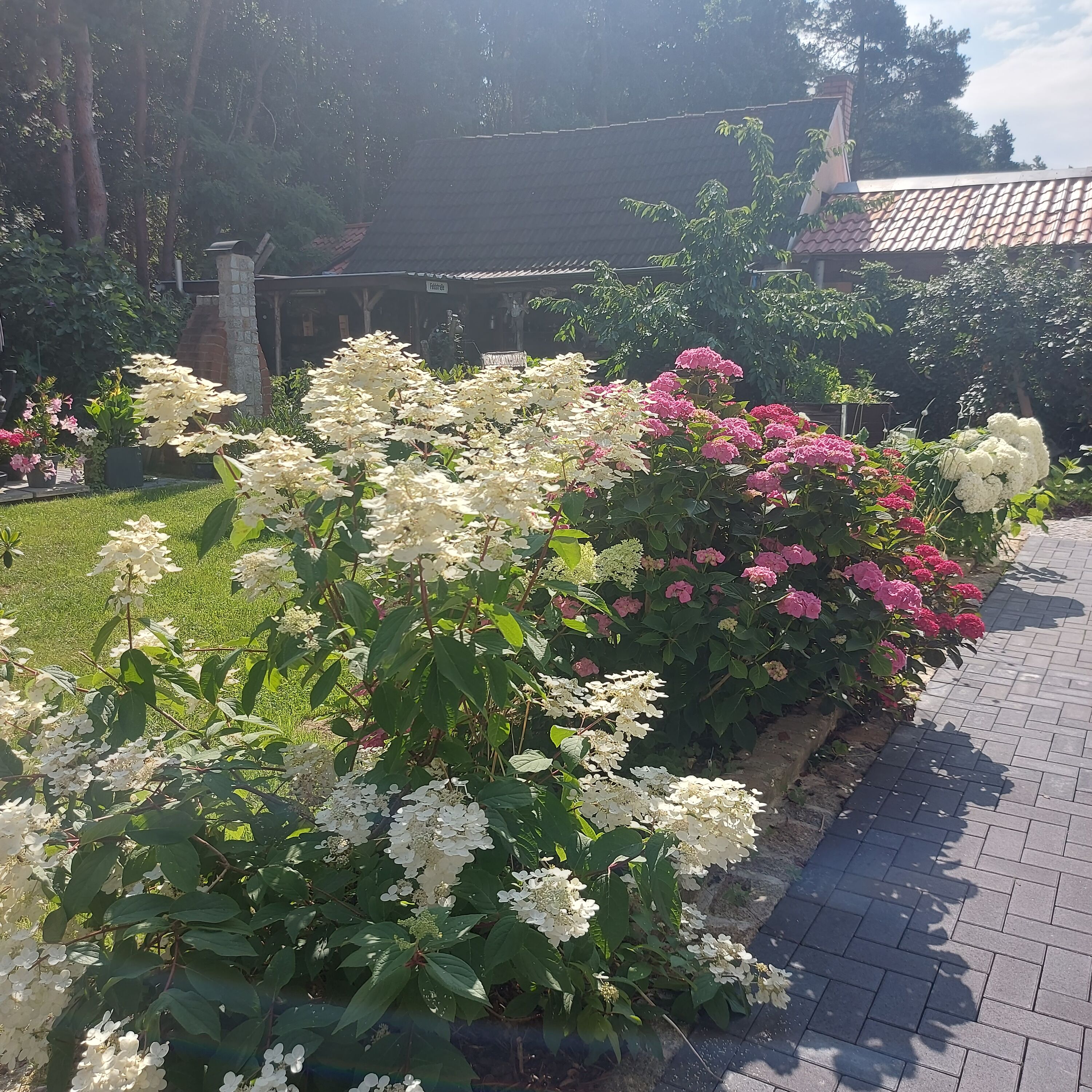 Garten vor dem Ferienhaus