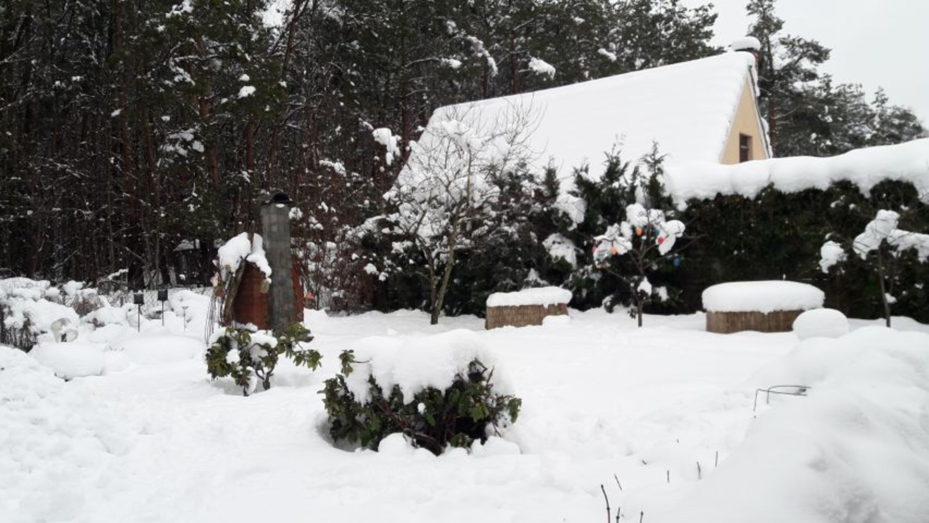 Winter in Biendorf