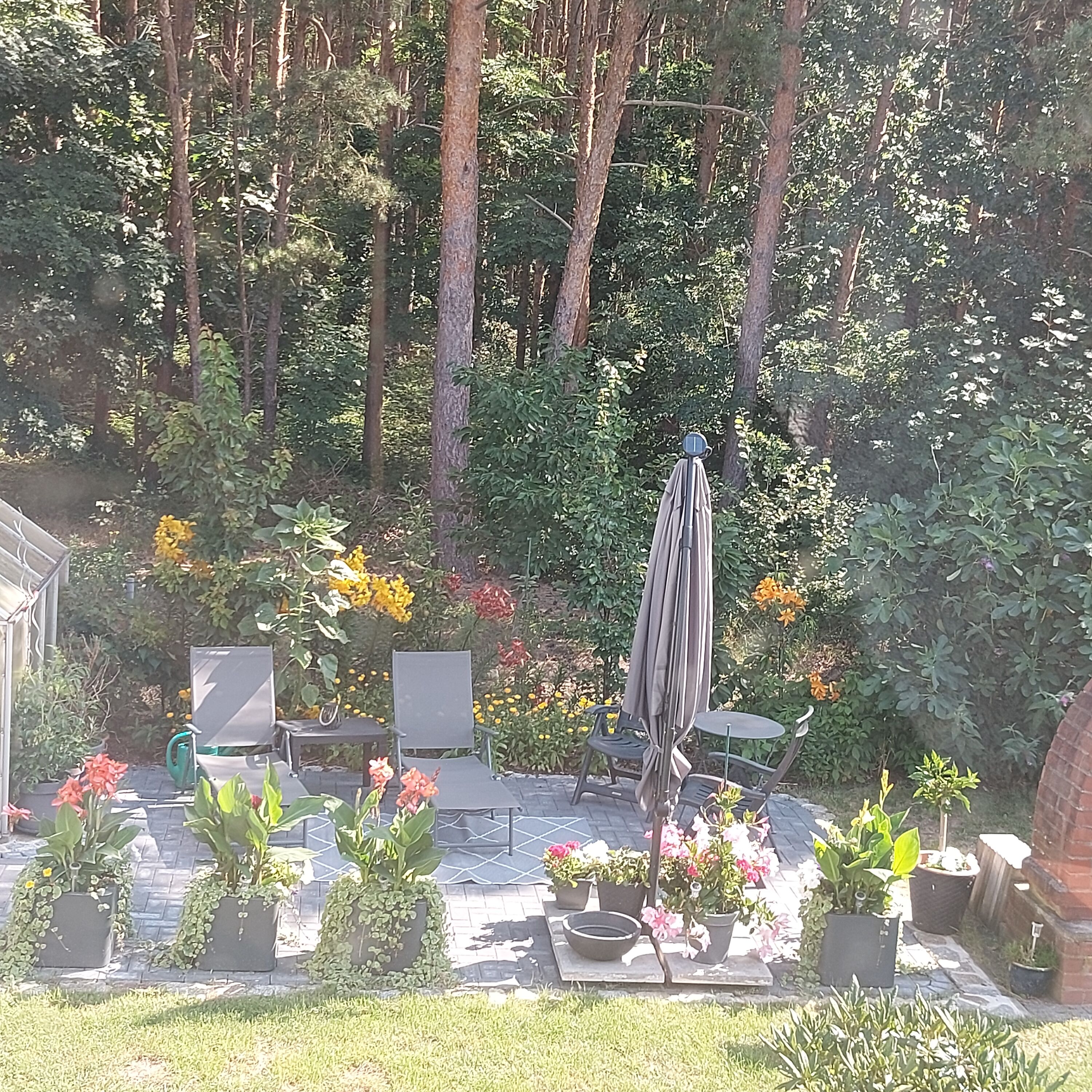 Terrasse am Wald
