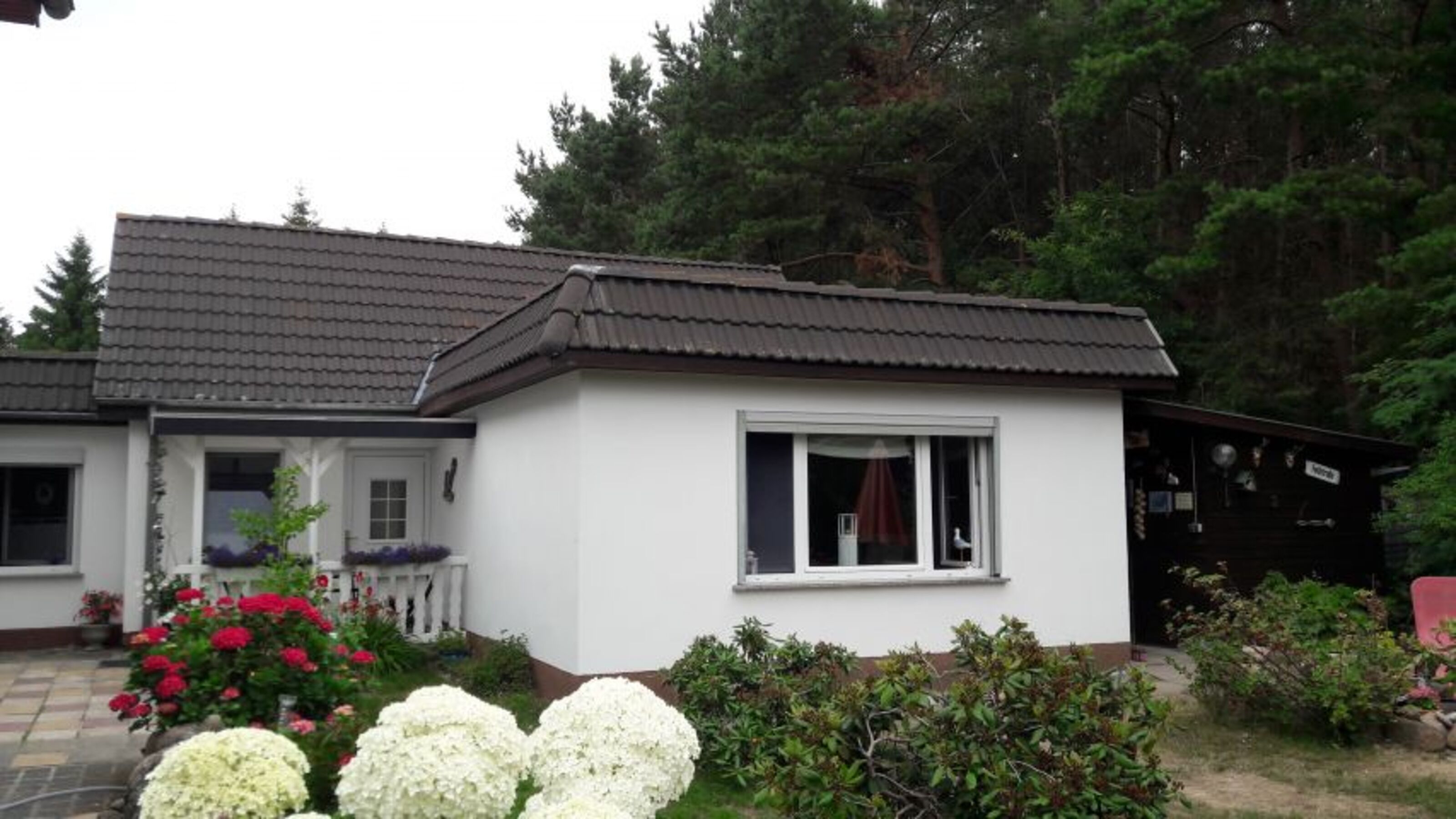 Ferienhaus am Kiefernwald
