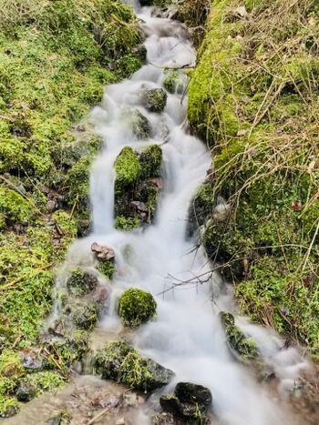 Wanderer's Entdeckung