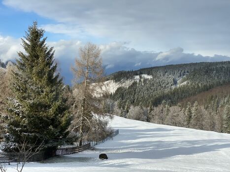 Blick vom Gartenzaun