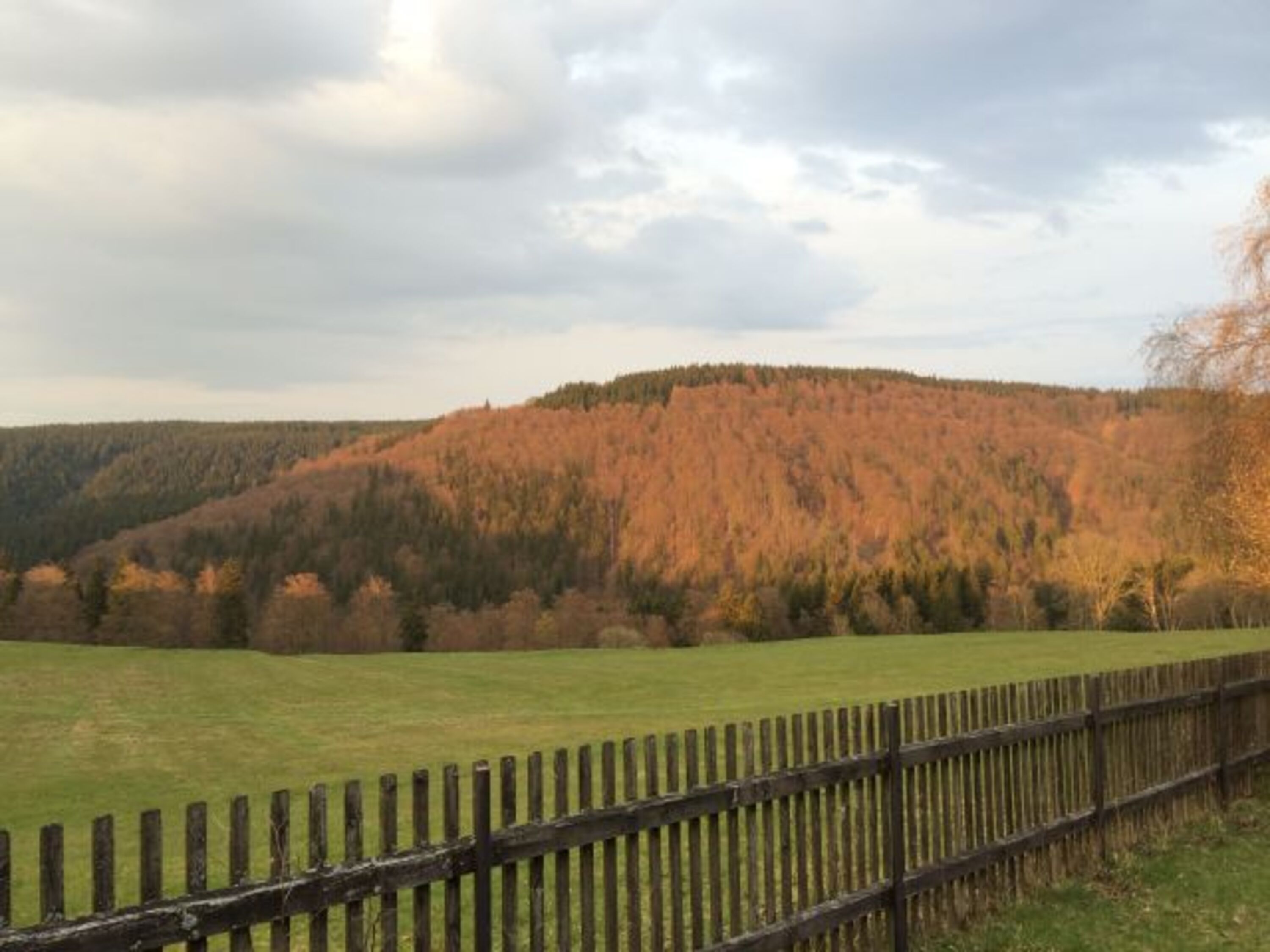 Ausblick vom Garten