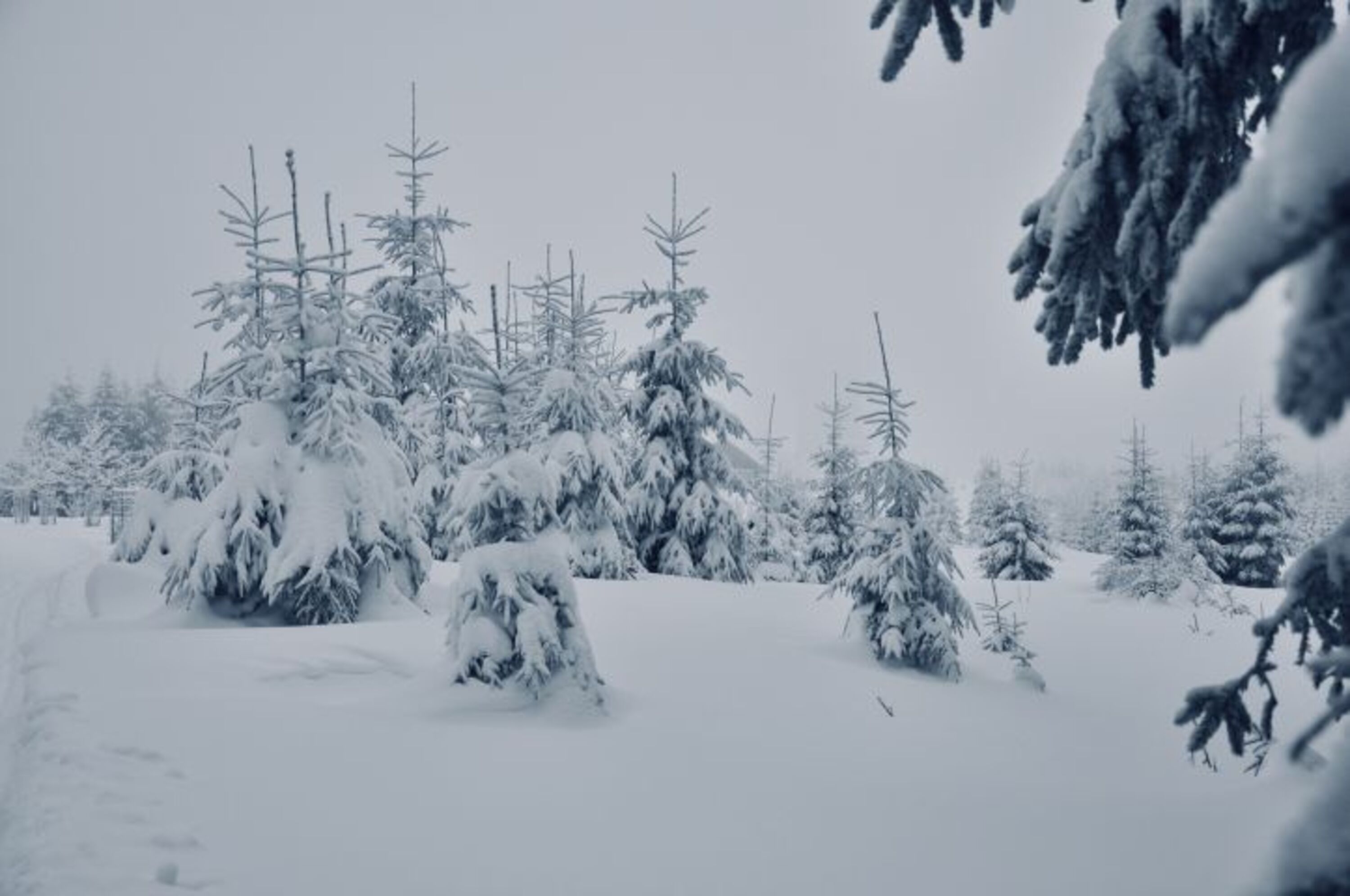 Winterlandschaft