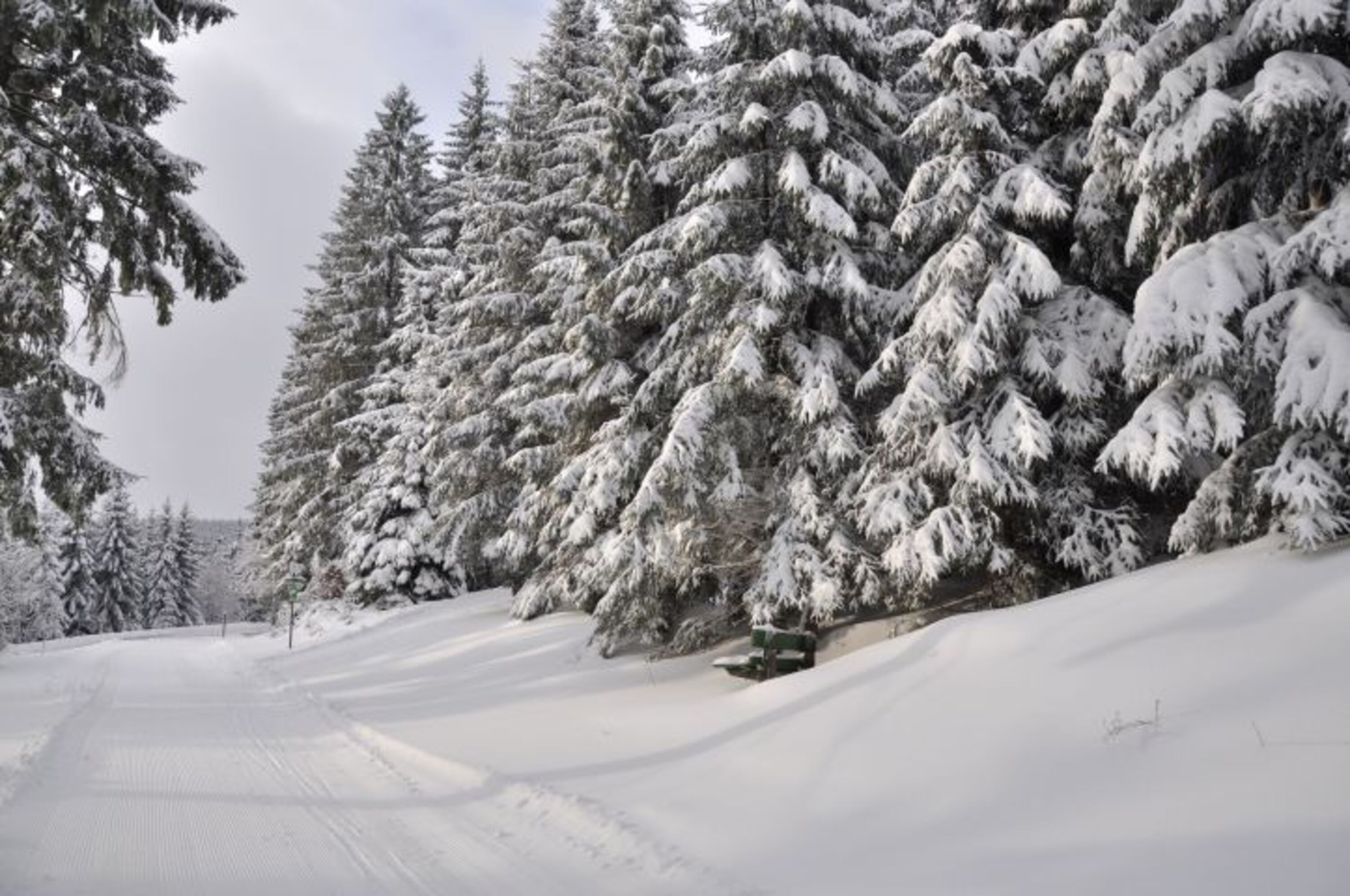 Winterlandschaft
