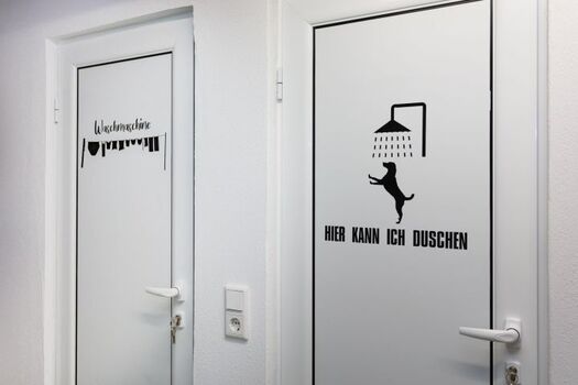 Hundedusche und Waschmaschine im Keller