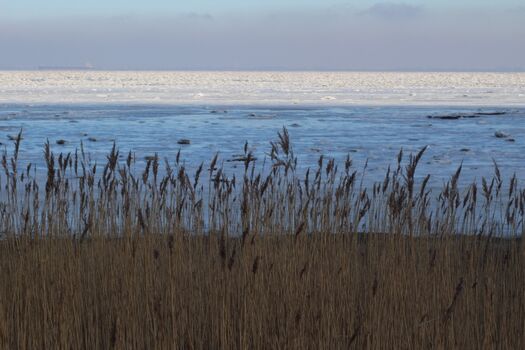 vereiste Nordsee
