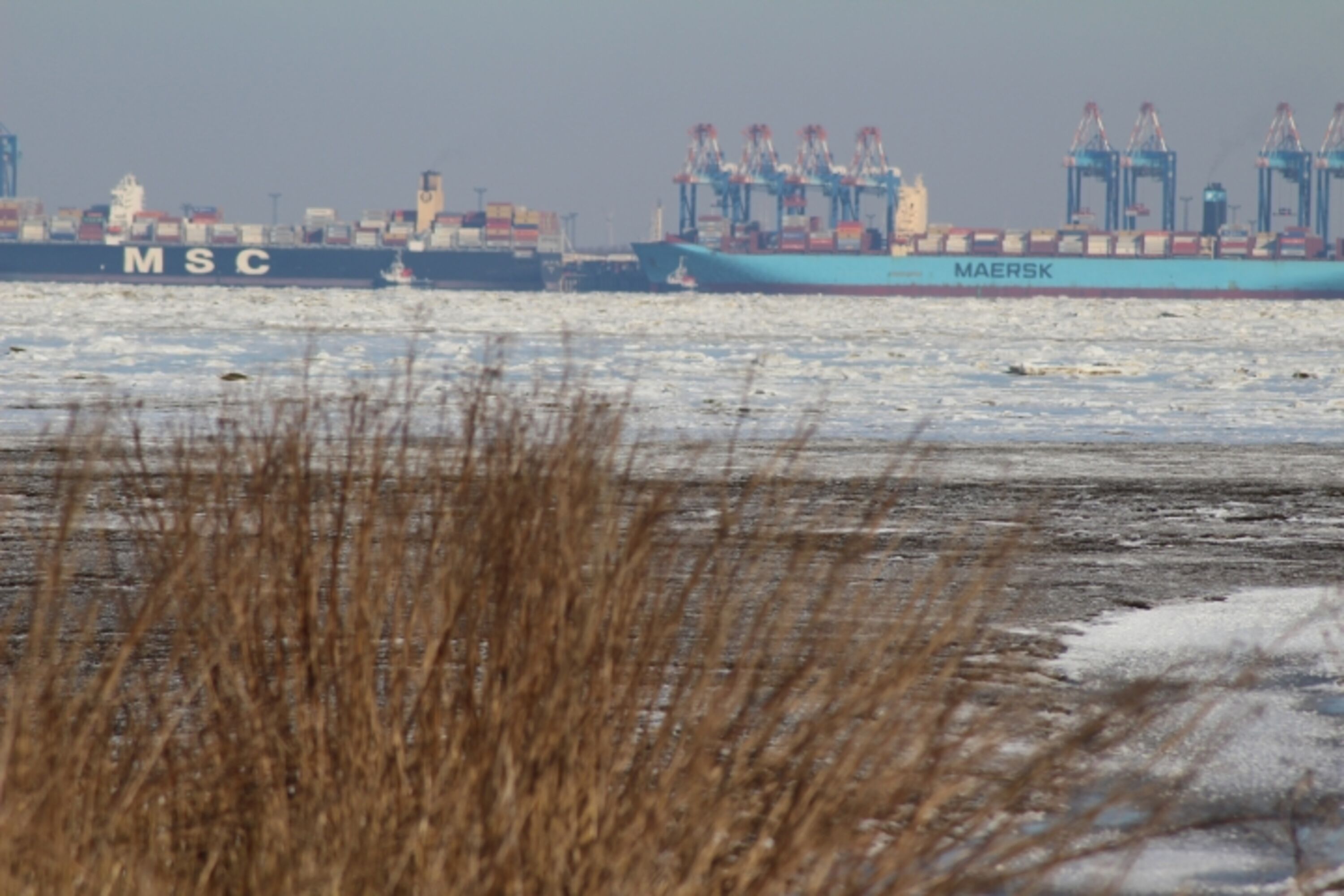 winterlicher Blick auf Bremerhaven