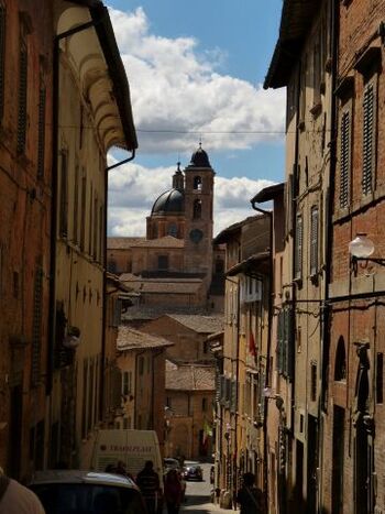 Urbino