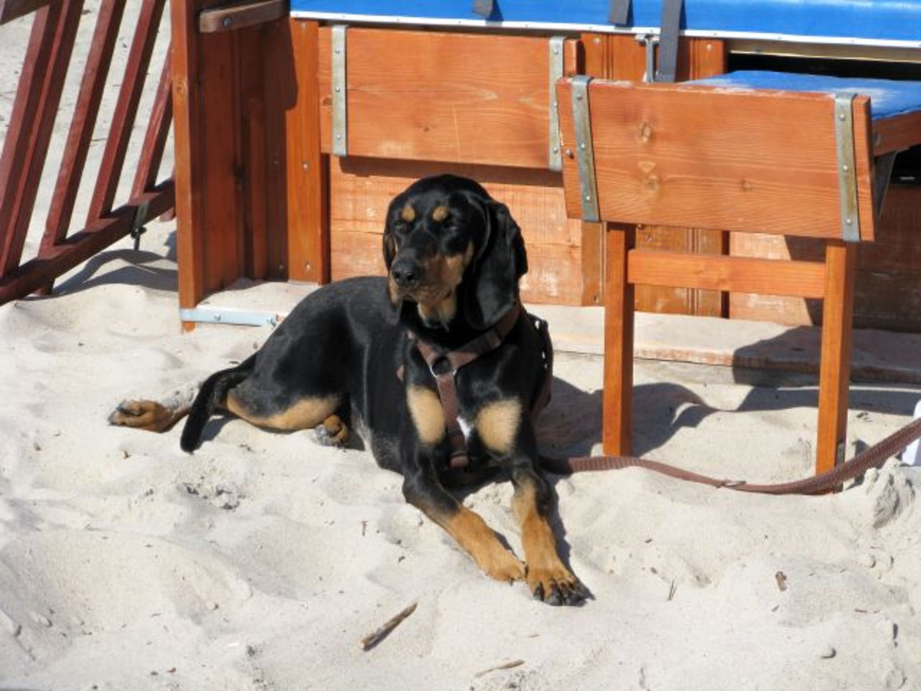 Bild 11