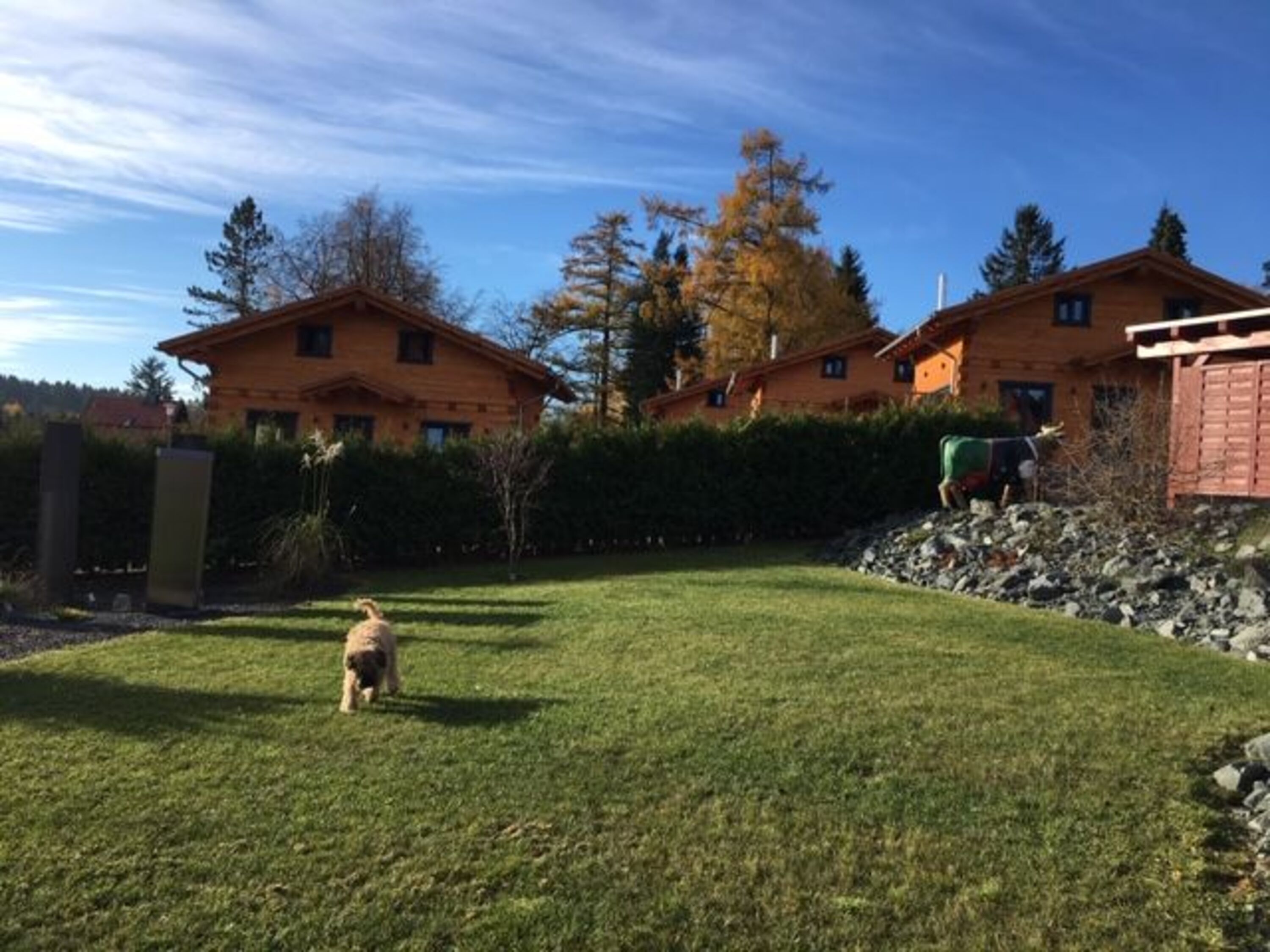 Bild 20