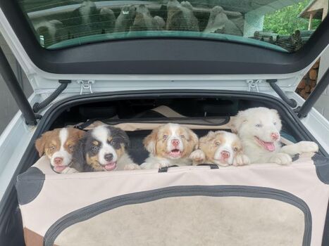 Endlich angekommen...