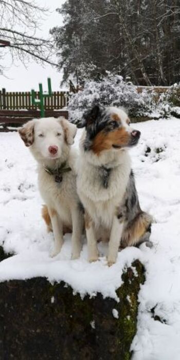 Auch im Winter ein Besuch wert!