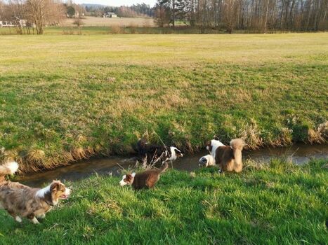 Spaß in Wald und Flur
