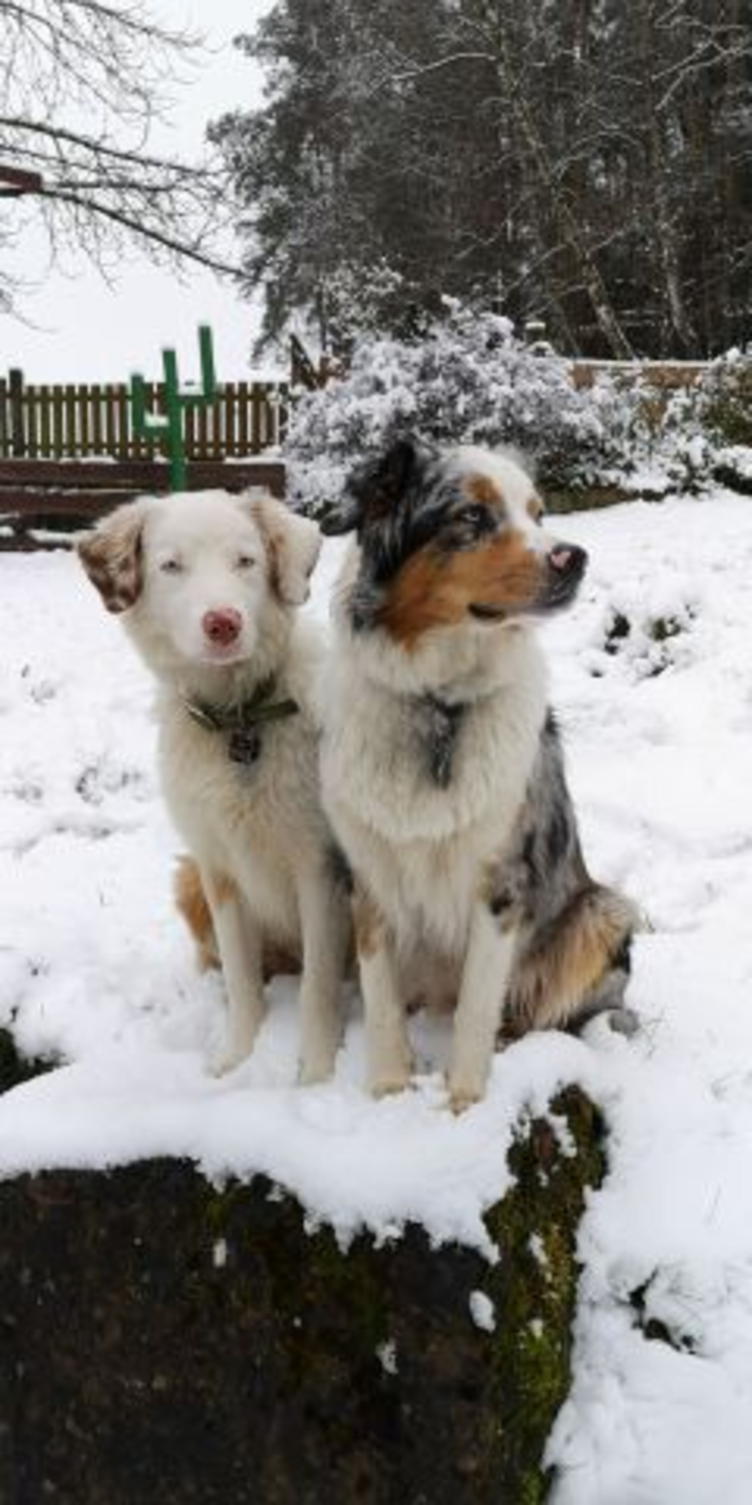 Auch im Winter ein Besuch wert!